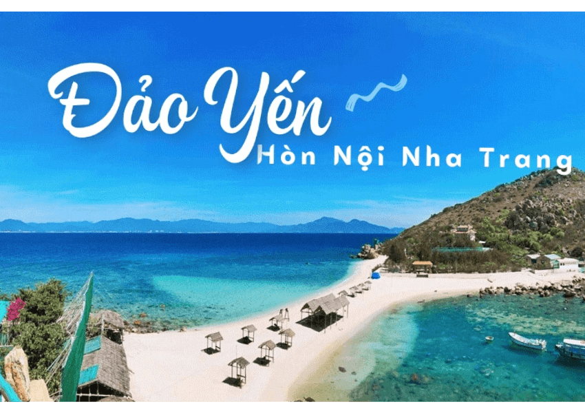 Kinh Nghiệm Đi Tour Đảo Yến Hòn Nội Nha Trang [2023]