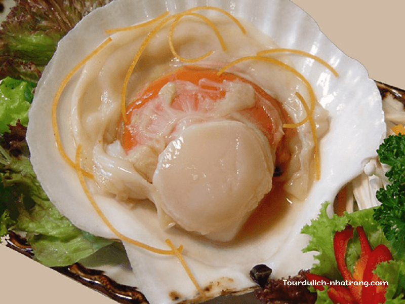 Sò điệp Nha Trang: Món hải sản độc đáo của Vịnh Nha Trang