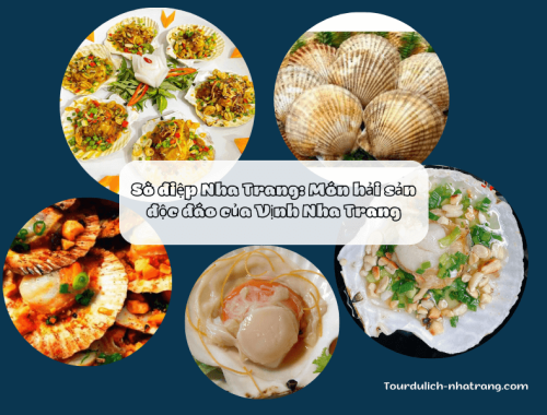 Sò điệp Nha Trang Món hải sản độc đáo của Vịnh Nha Trang